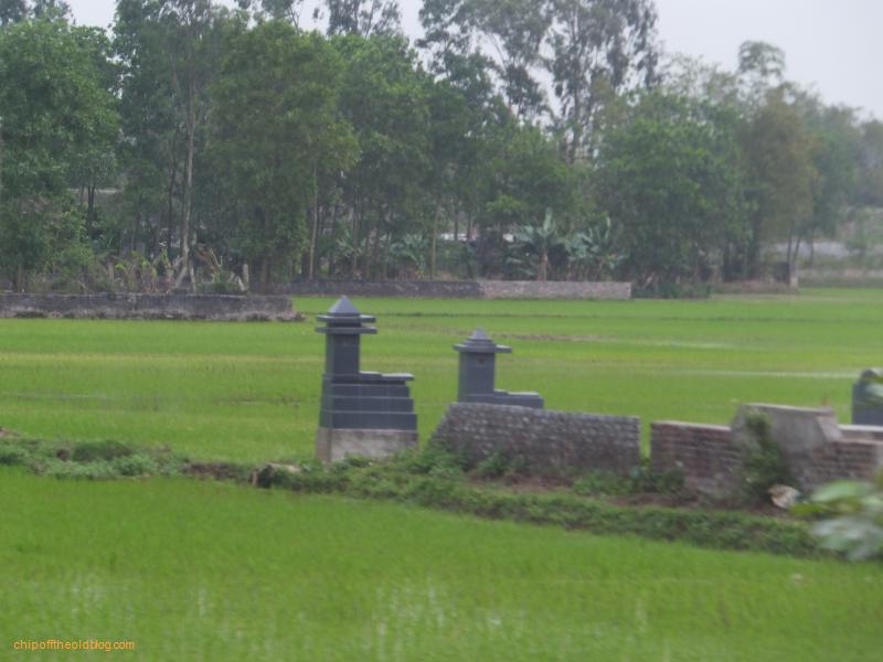 Grave in rice paddy field!