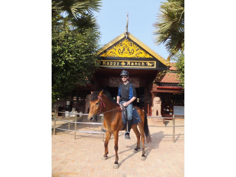 Ross horse riding