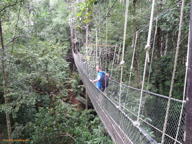 Penang National Park - Tree top walk