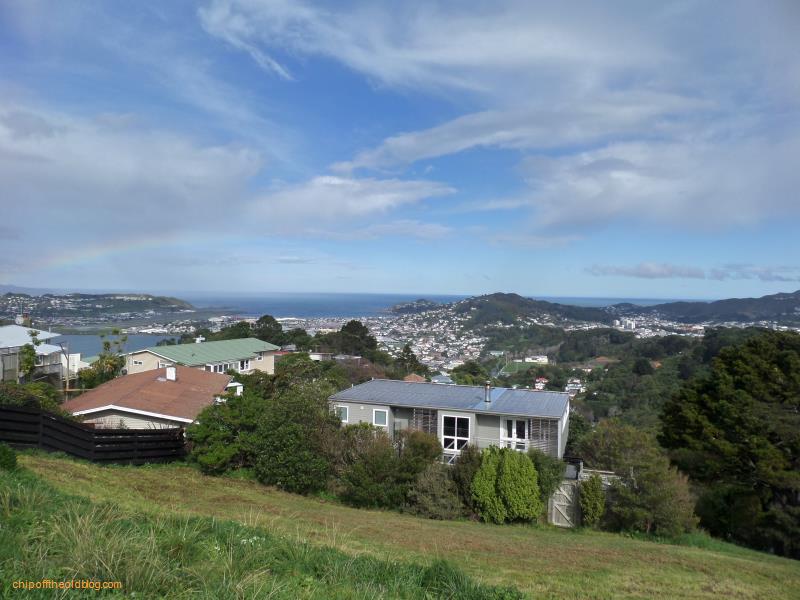View of Wellington from Mt Victoria