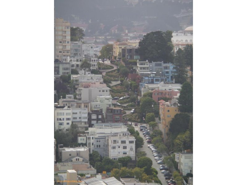 View from Coit Tower - Wiggle Road